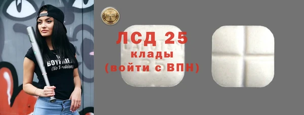 шишки Наволоки