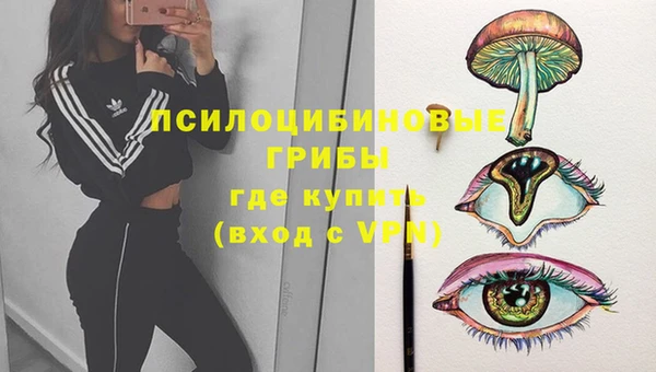 сатива Навашино