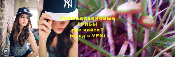 сатива Навашино