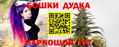 jwh Кандалакша