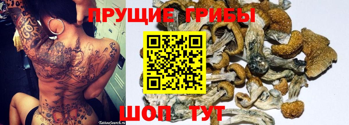 Псилоцибиновые грибы мухоморы Черногорск